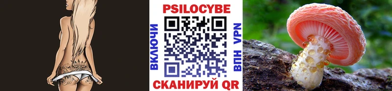 omg зеркало  закладка  Прохладный  Псилоцибиновые грибы Psilocybine cubensis 