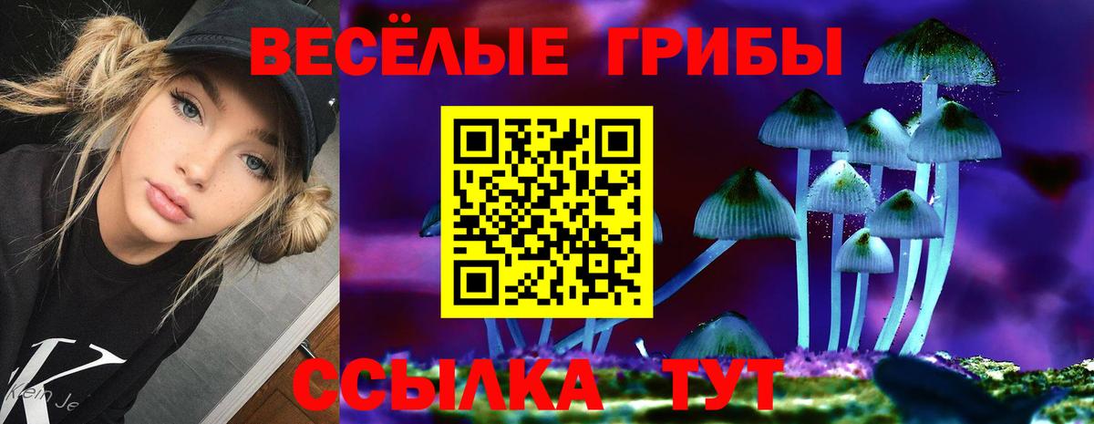Псилоцибиновые грибы MAGIC MUSHROOMS Прохладный